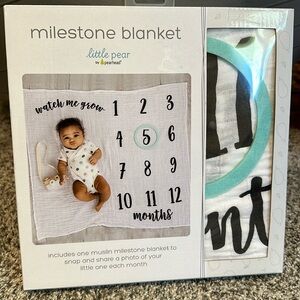 Milestone Blanket